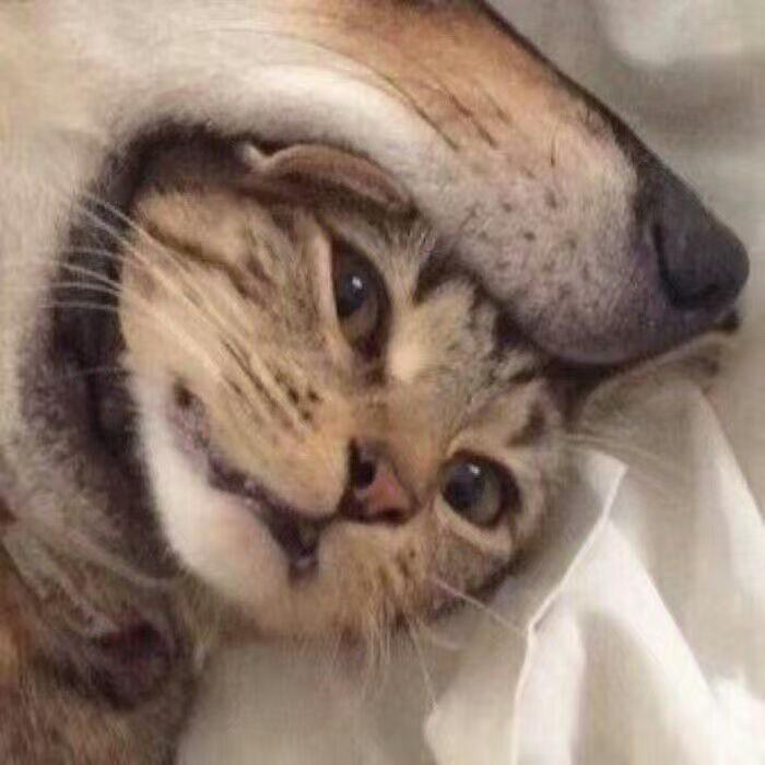 西洲
