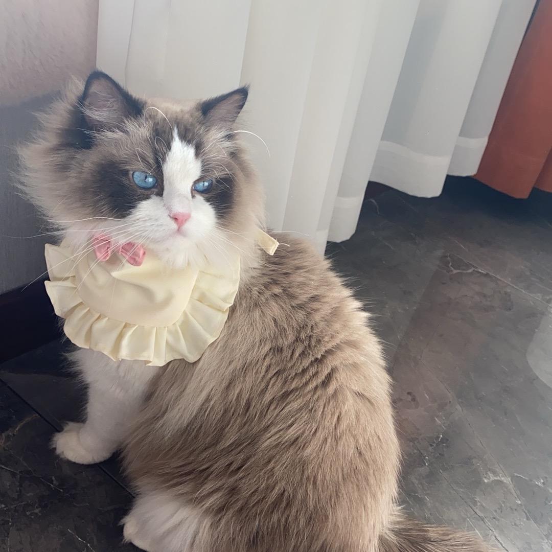 丽宣服饰（拒绝连赞）