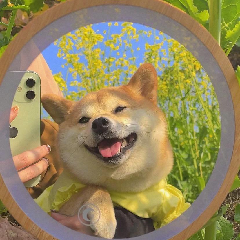 俩个零、