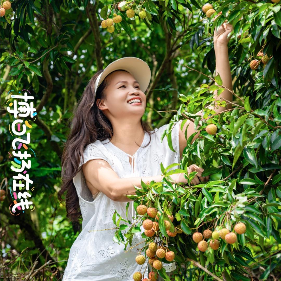 客家阿杏土特产