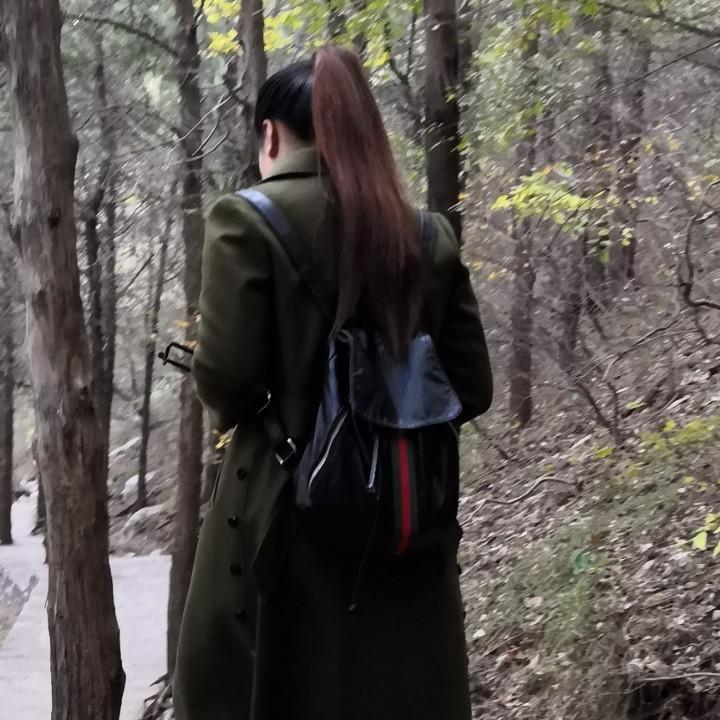 凌晨四点半 海棠花未眠
