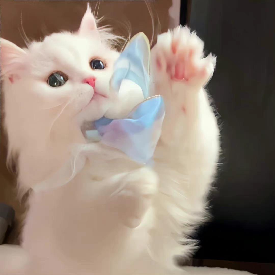 耶！
