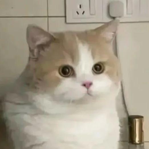 天天开心不动脑筋