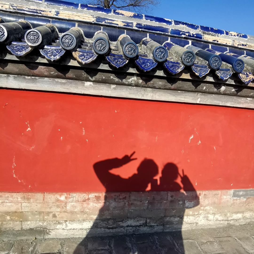 程序猿👨🏻‍💻与医学牲👩‍⚕️