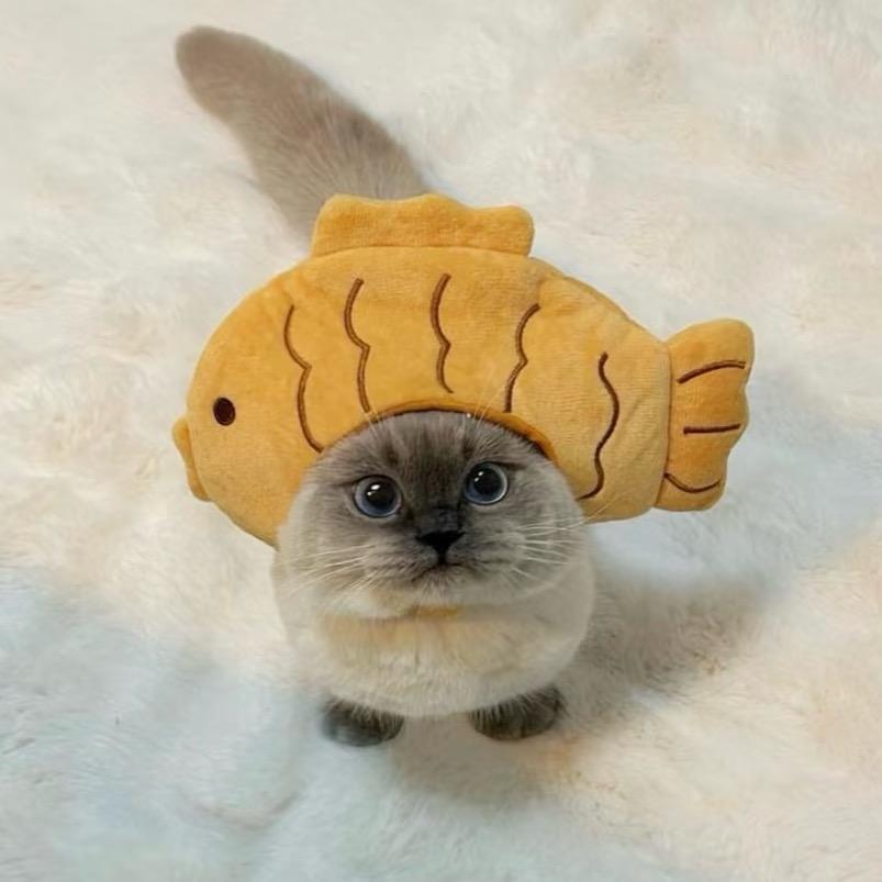 马鲛鱼