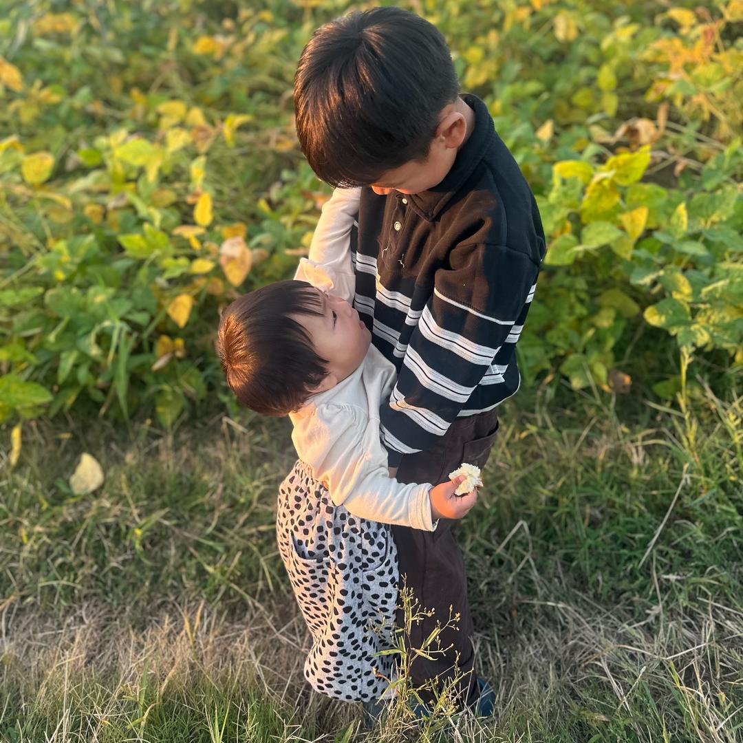 金悦城 闪闪家 锡纸花甲粉