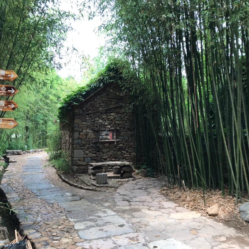 高雅