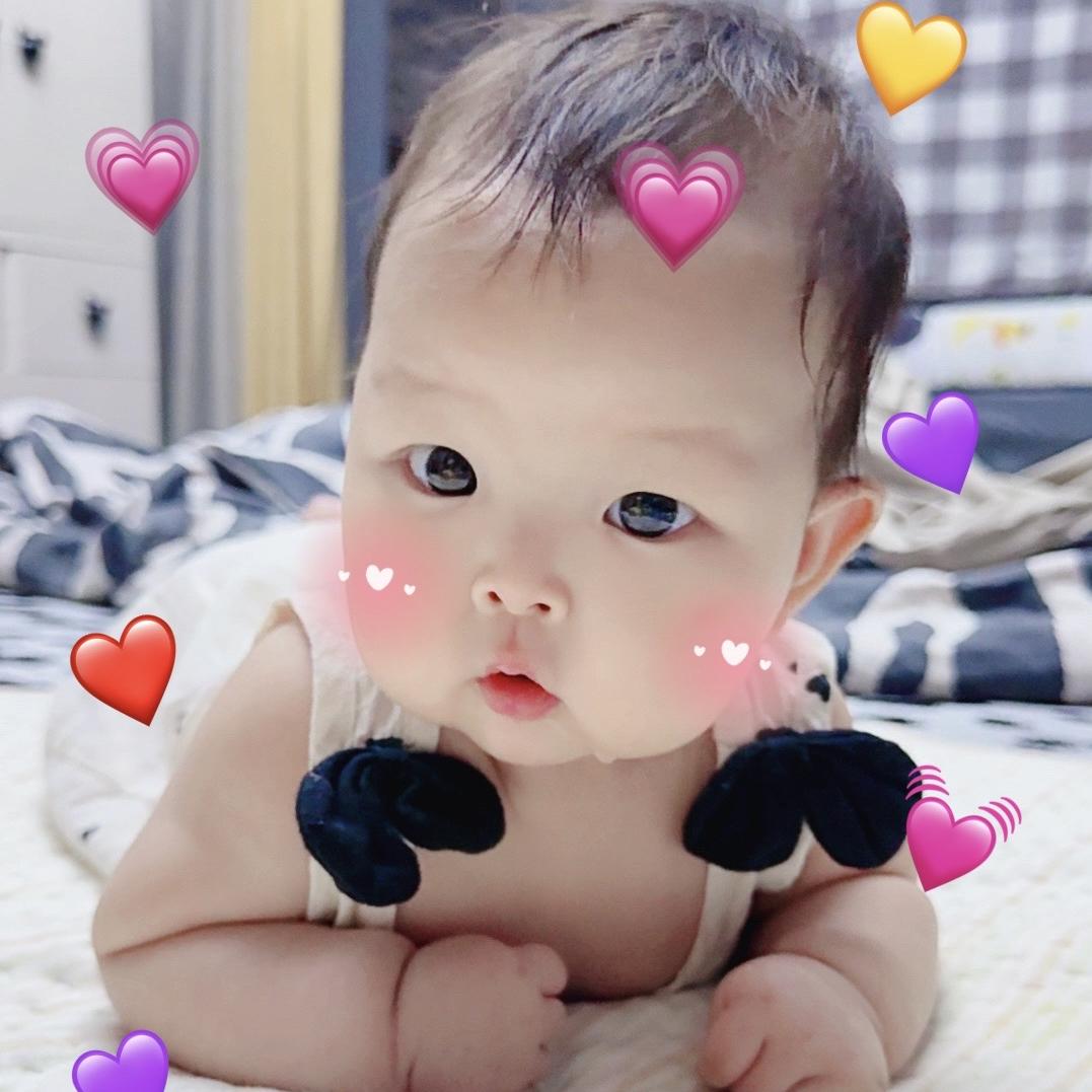 麦子dairy