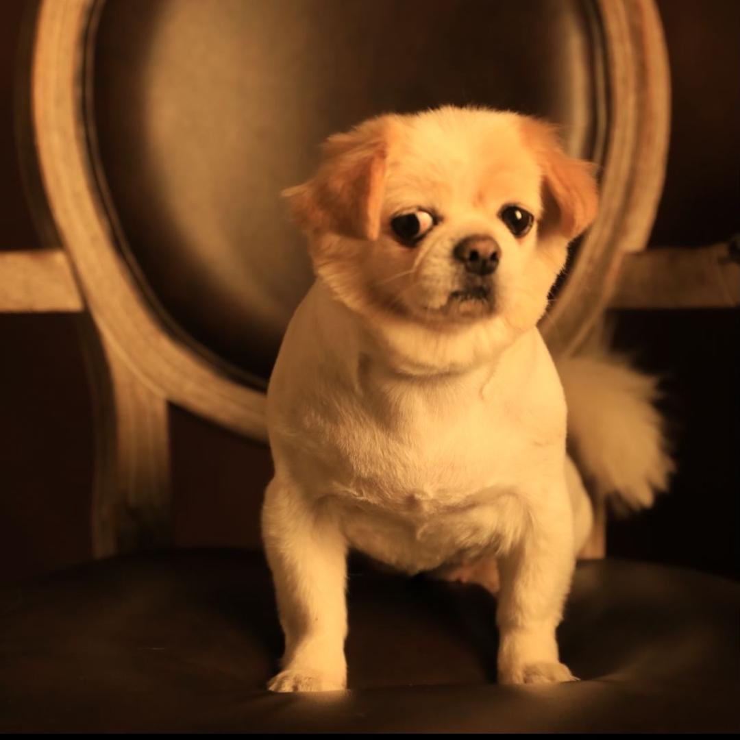 小于种植记（楼底菜园）