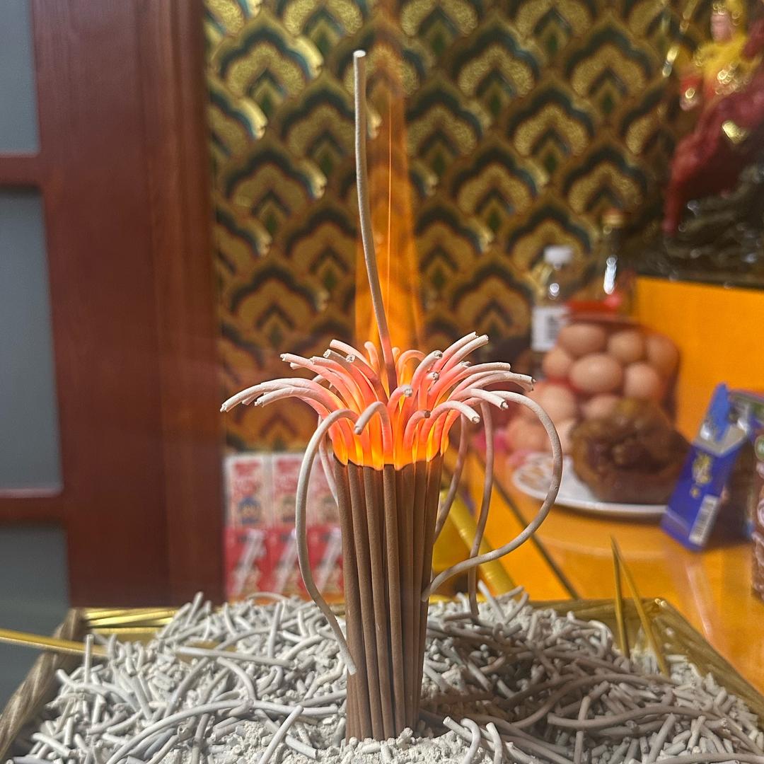 刘门府妙莲🪷