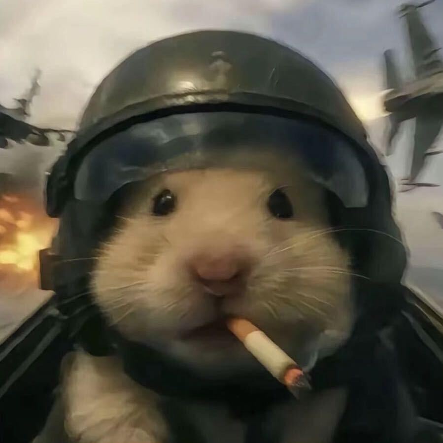 三角洲跑刀鼠鼠