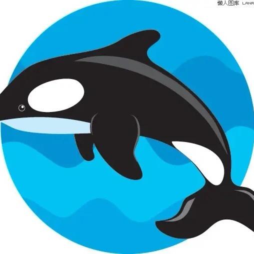 🐬大海之鲸