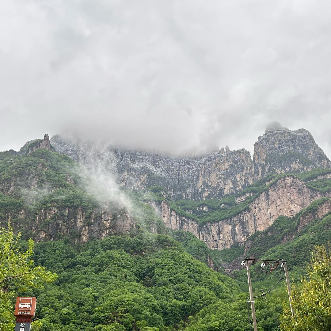 作者唯一助理(回观领)