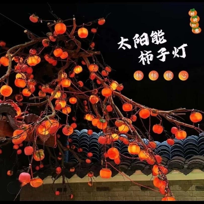 亮彩大院