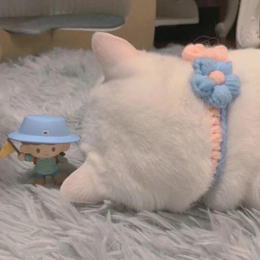 梨子