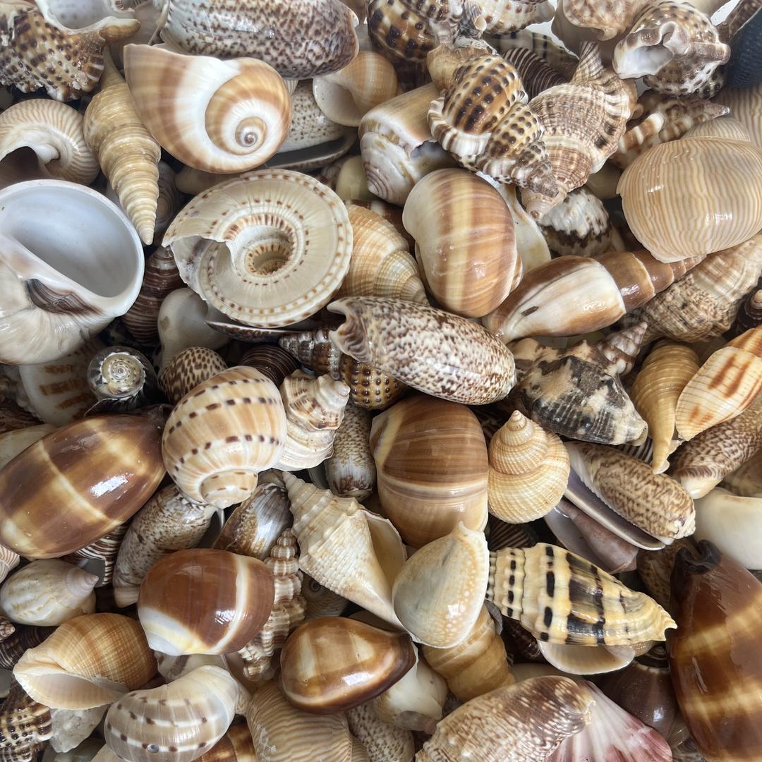 月贝工艺小铺