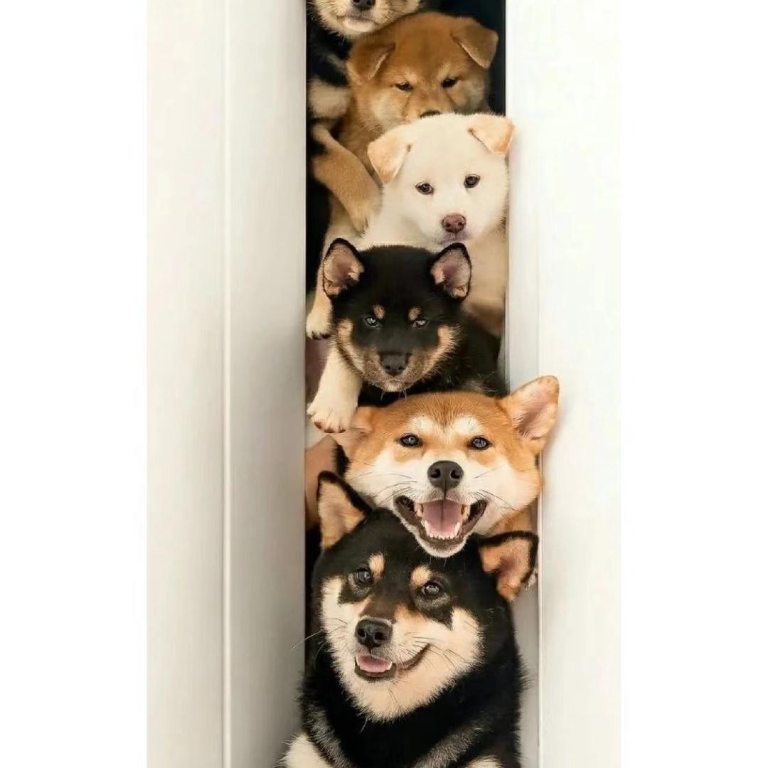 1122