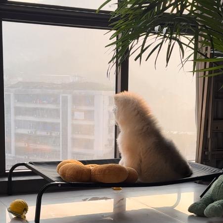 萌宝鲜粮馆