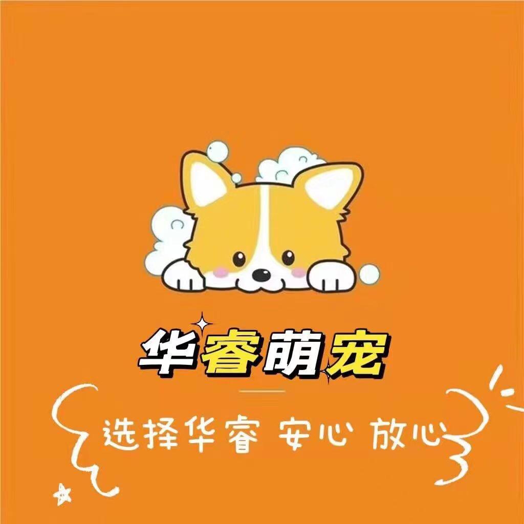 华睿宠物用品批发