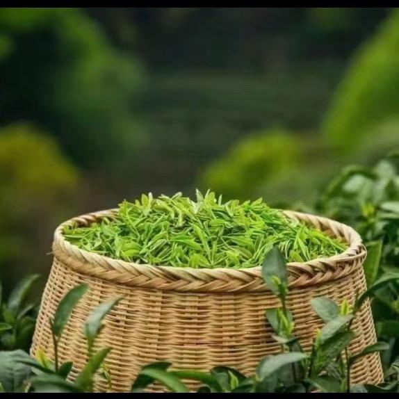 恩施硒茶