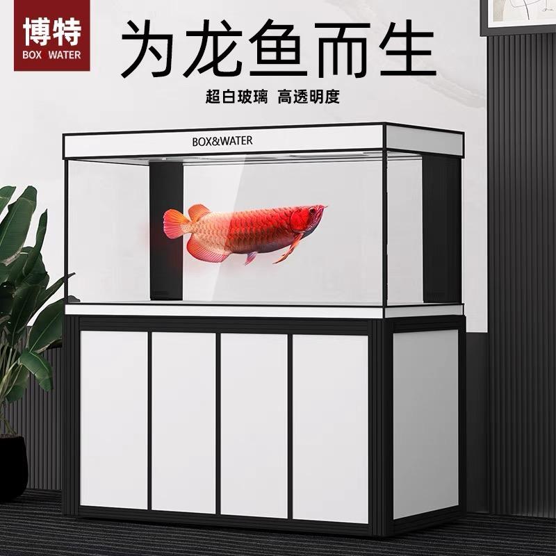 大頭水族（原皓博水族博特鱼缸内蒙古代理）