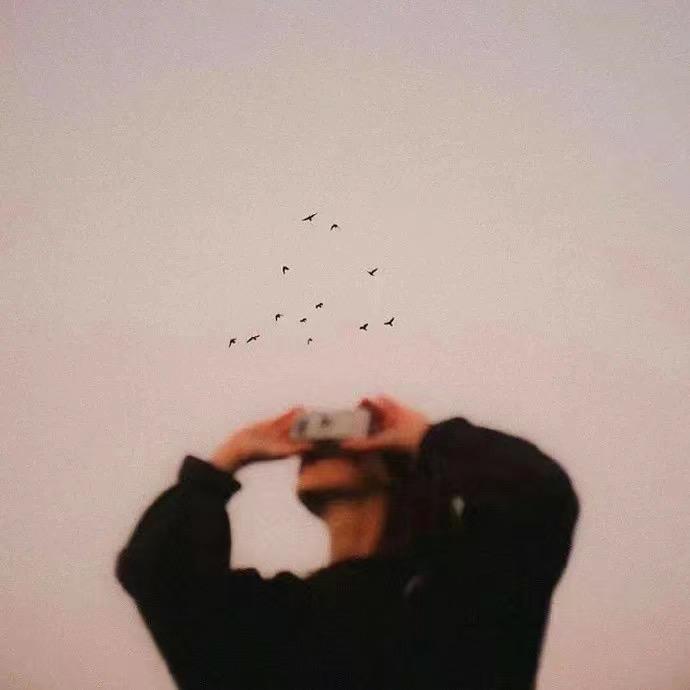 Seventeen🫐