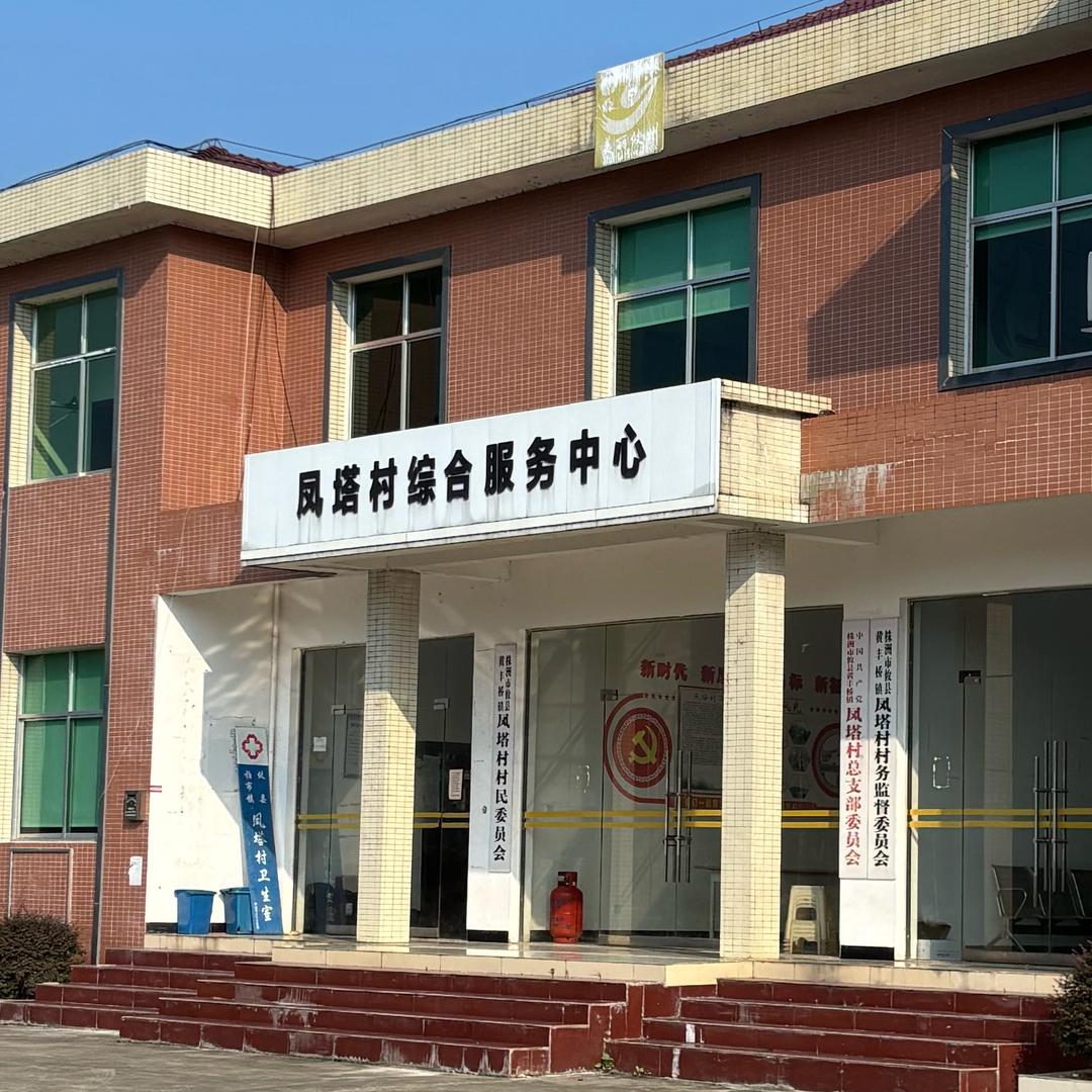 凤塔村委团队(高主任)
