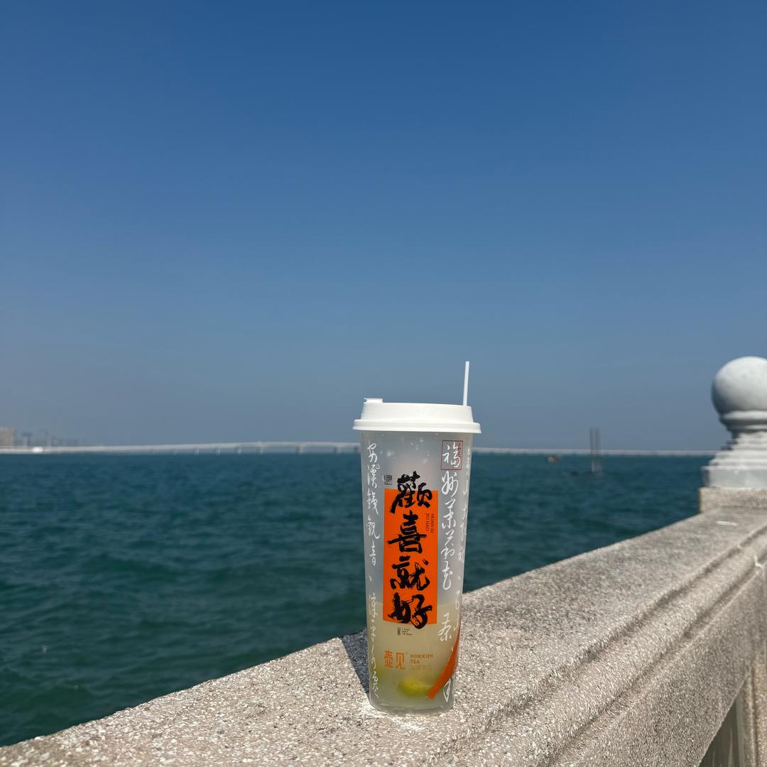 小鲨鱼快快游头像