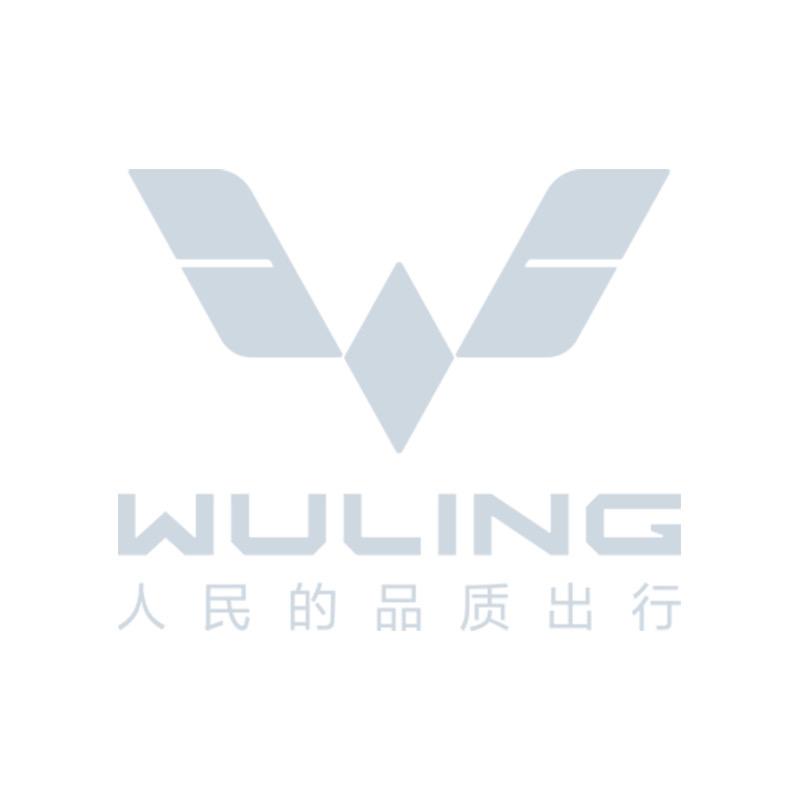 五菱汽车工厂体验官