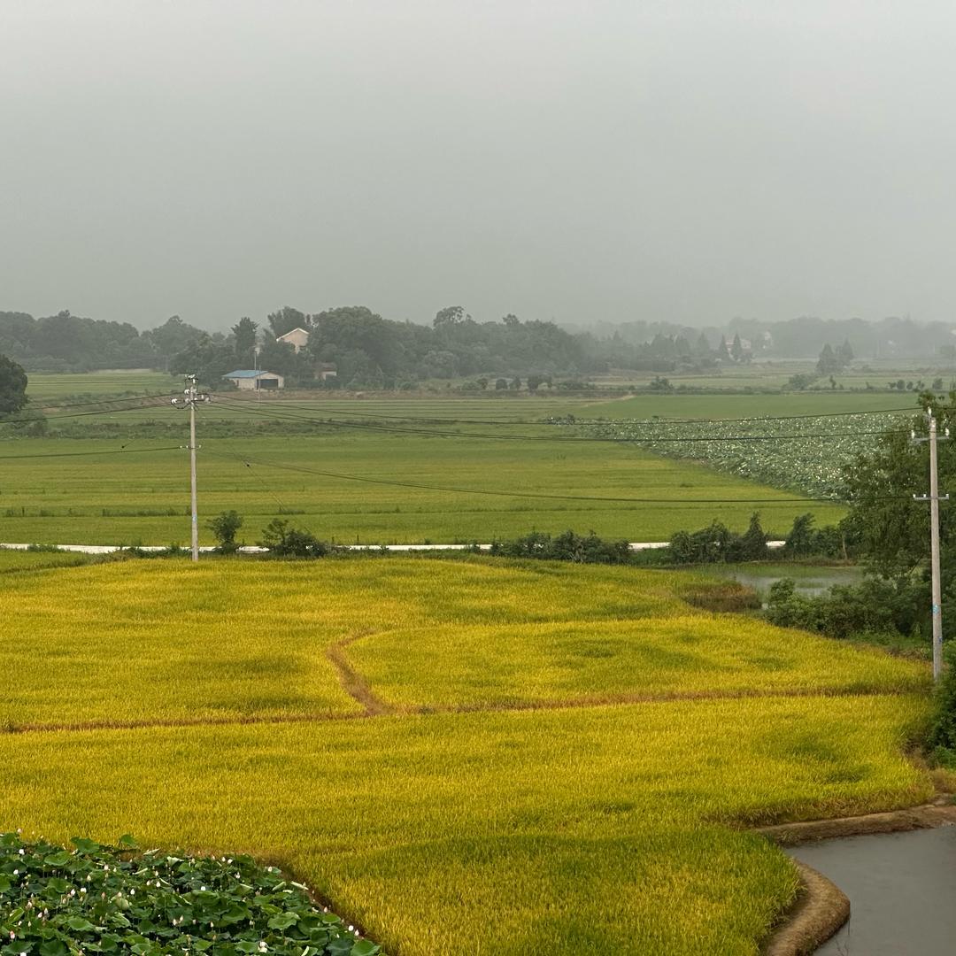 行万里路