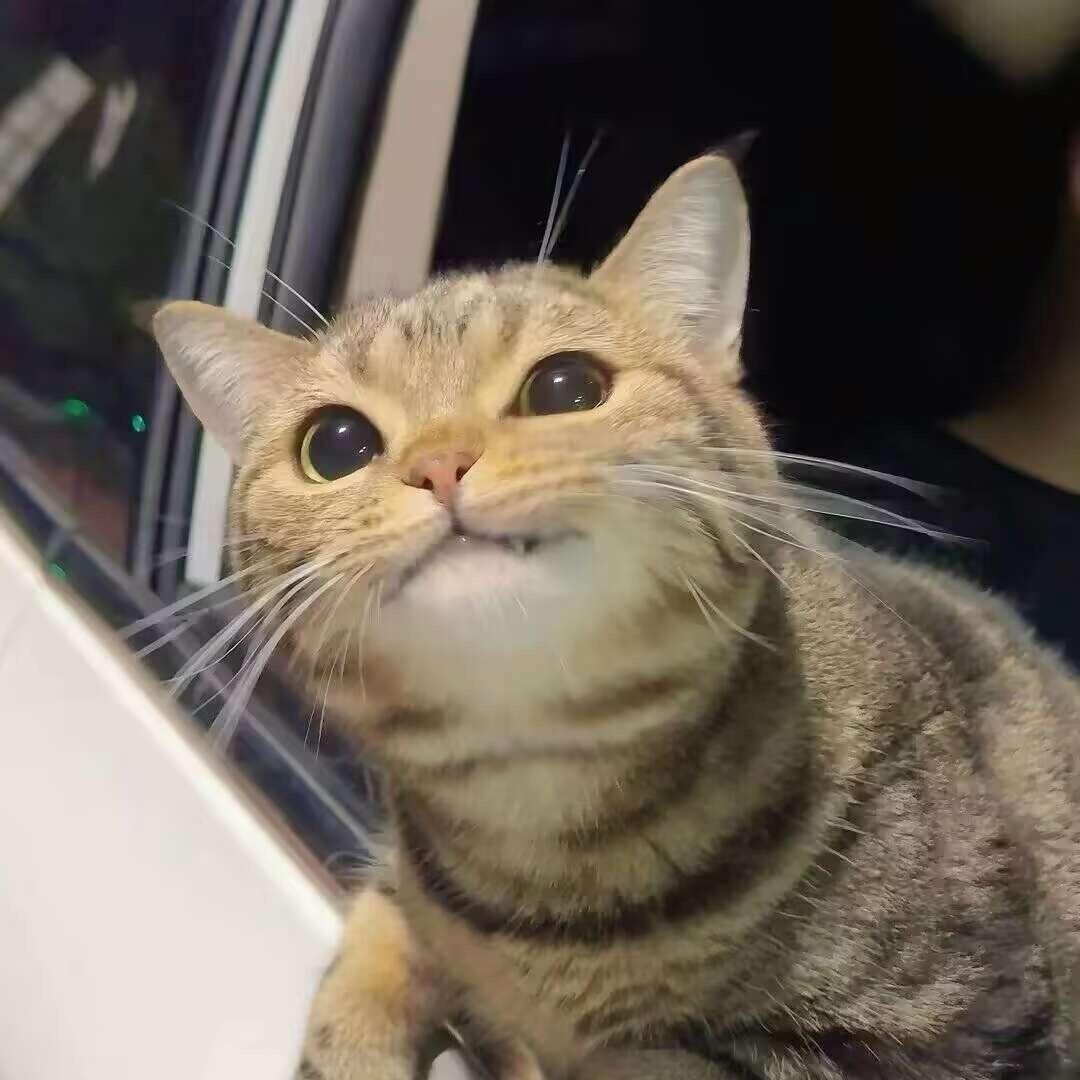 福田马石油-水木油品