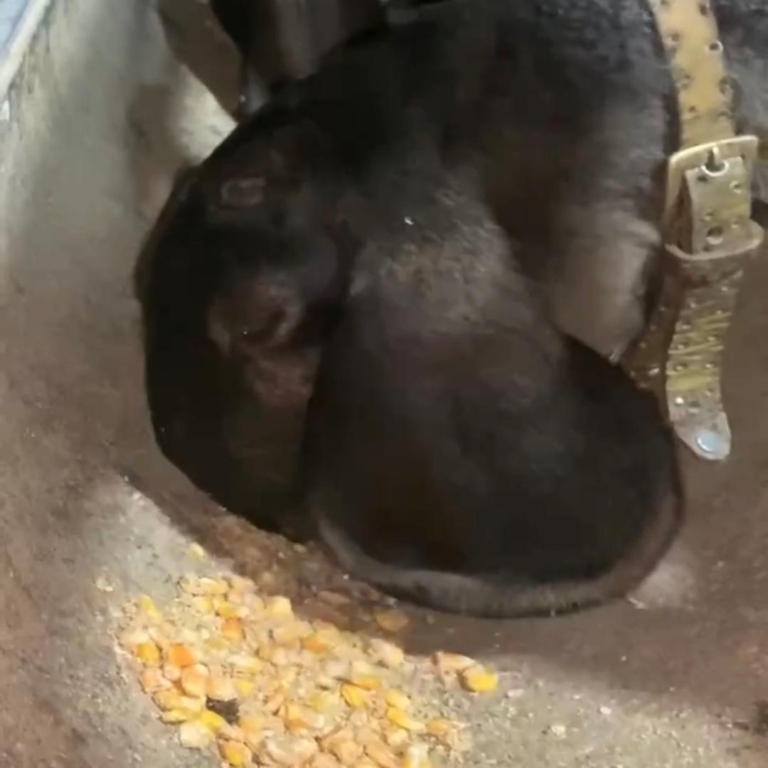 麦麦提敏.图尔荪