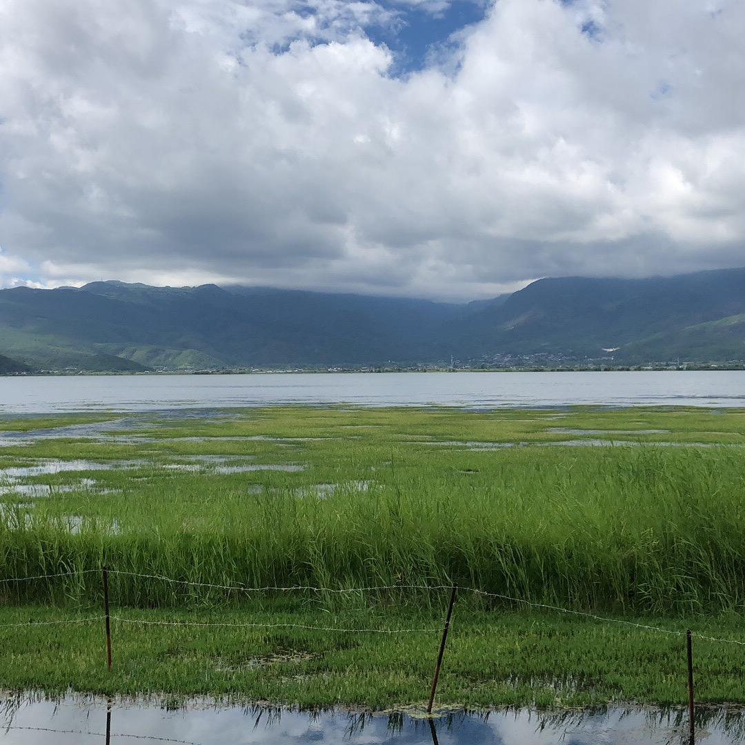 夺宝钓鱼场阿虎哥