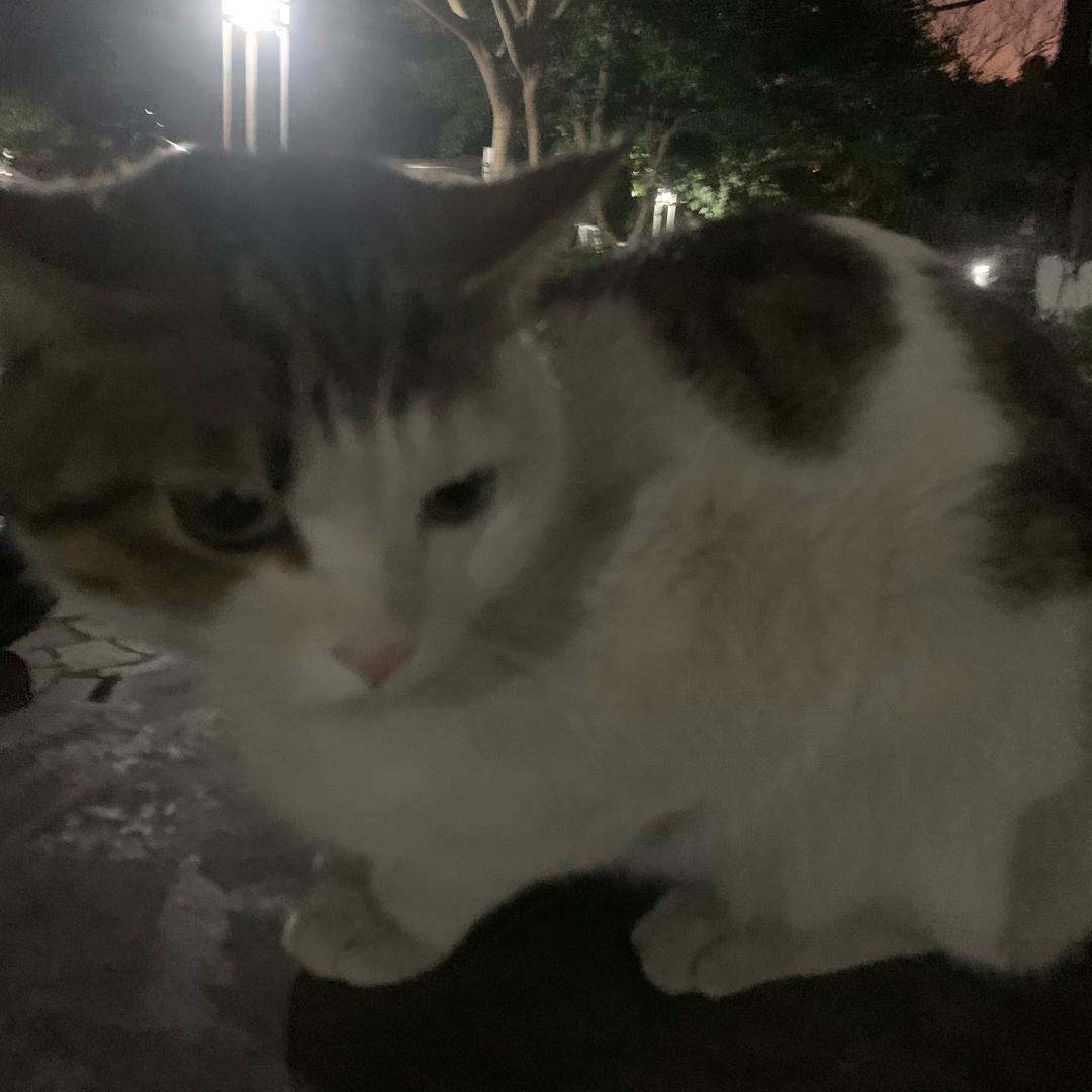 不想睡觉