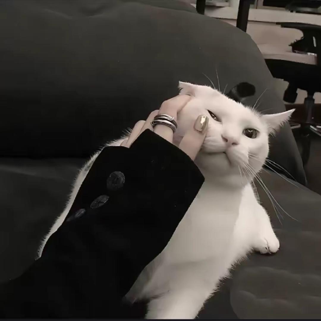 小小‘