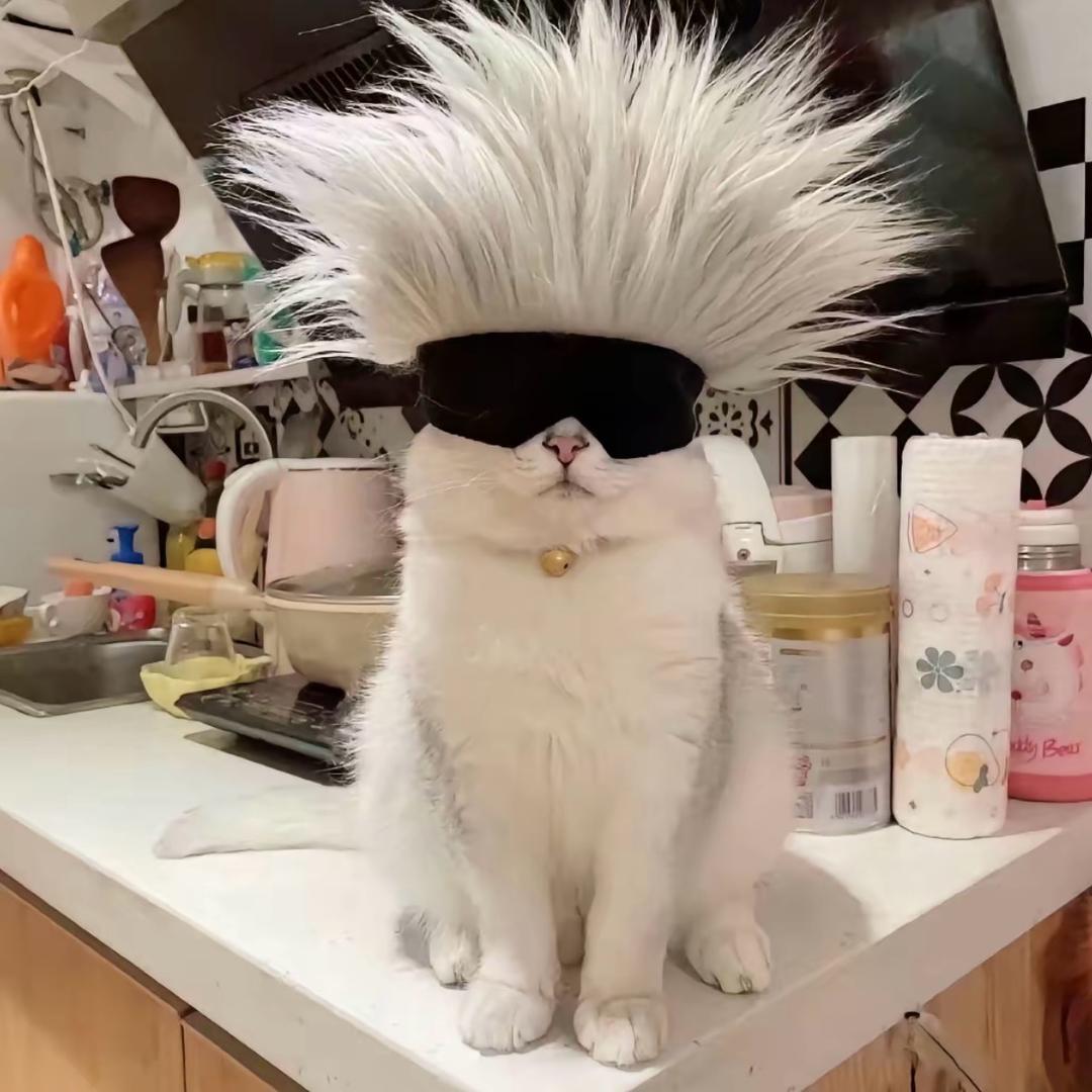 我先吃口猫饭