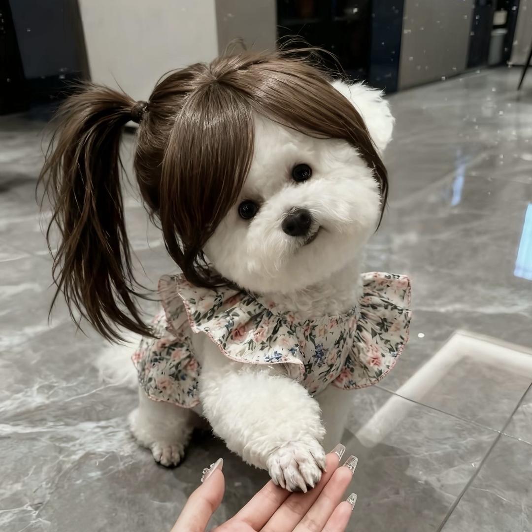 Yy
