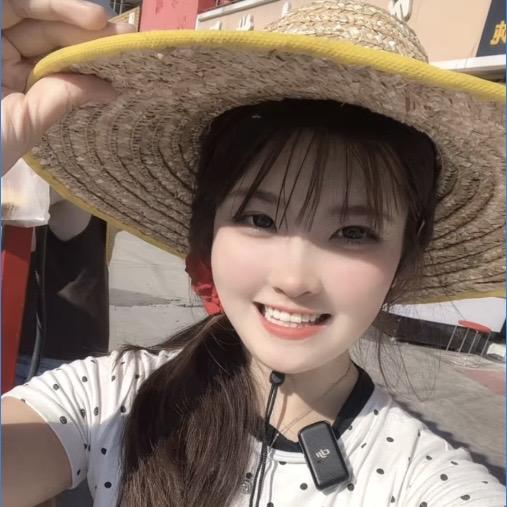 湾岛冉妹香炸肉丸