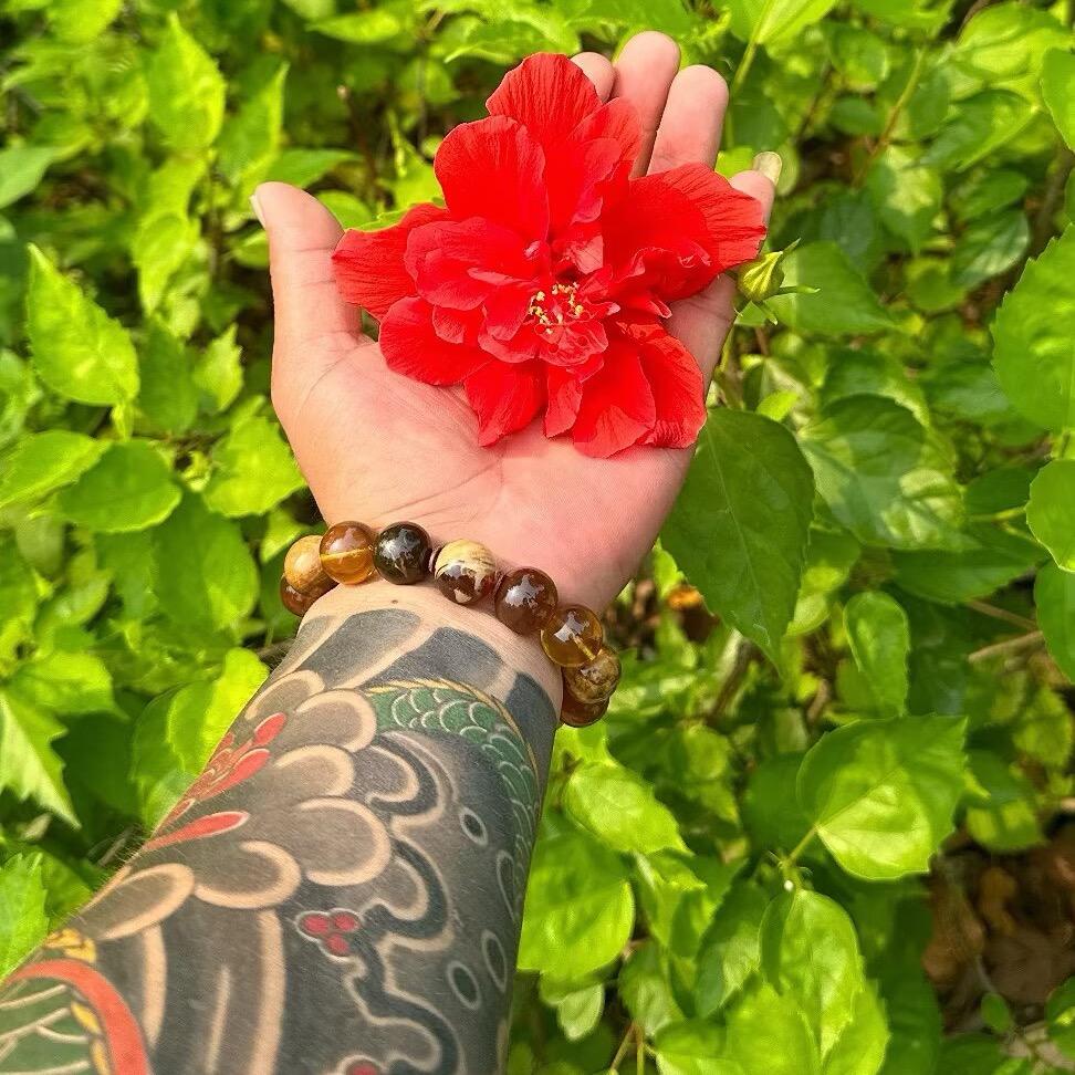 朱先生88年的龙