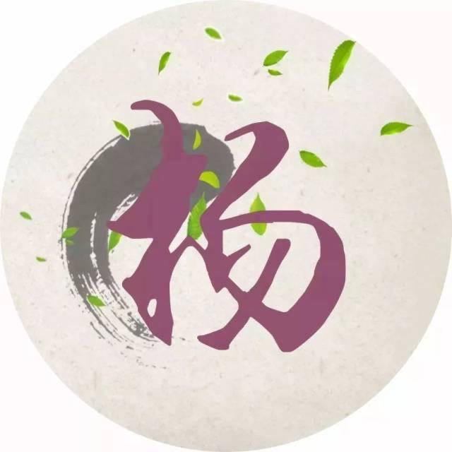 杨小杨