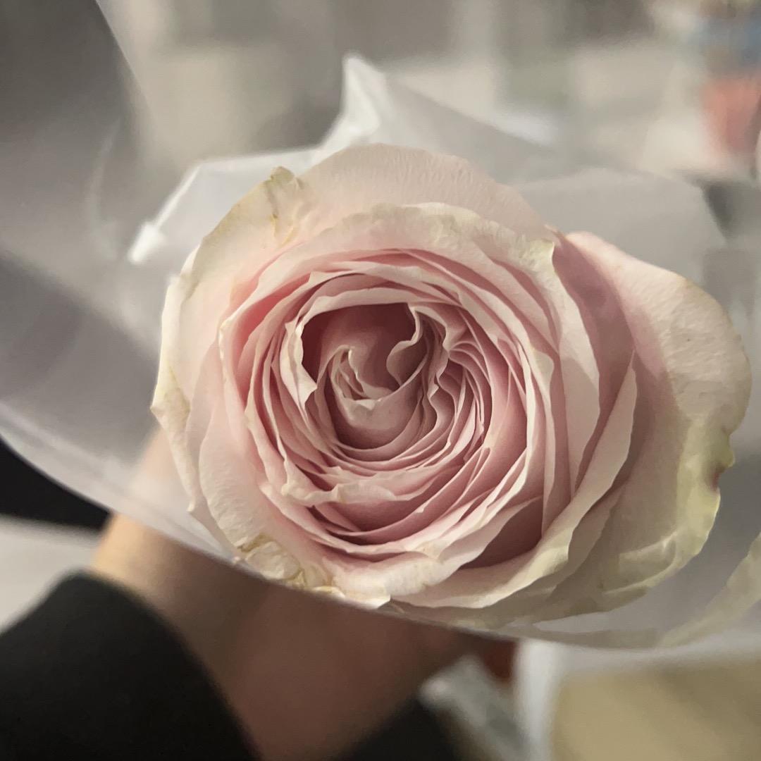 翔驰鹰户外运动用品商行