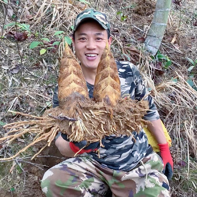 乡野阿清