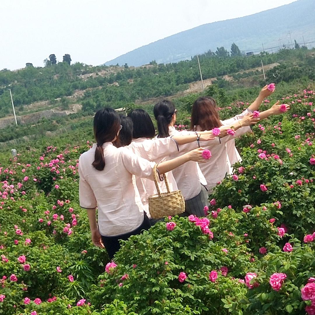 聪聪丨专注植物护肤