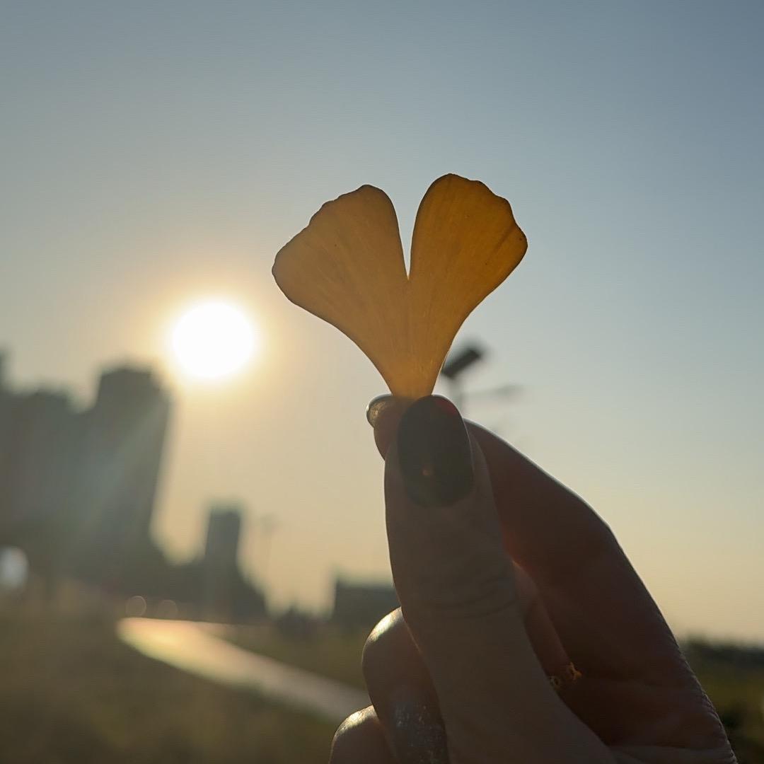 🇨🇳张百万🇨🇳