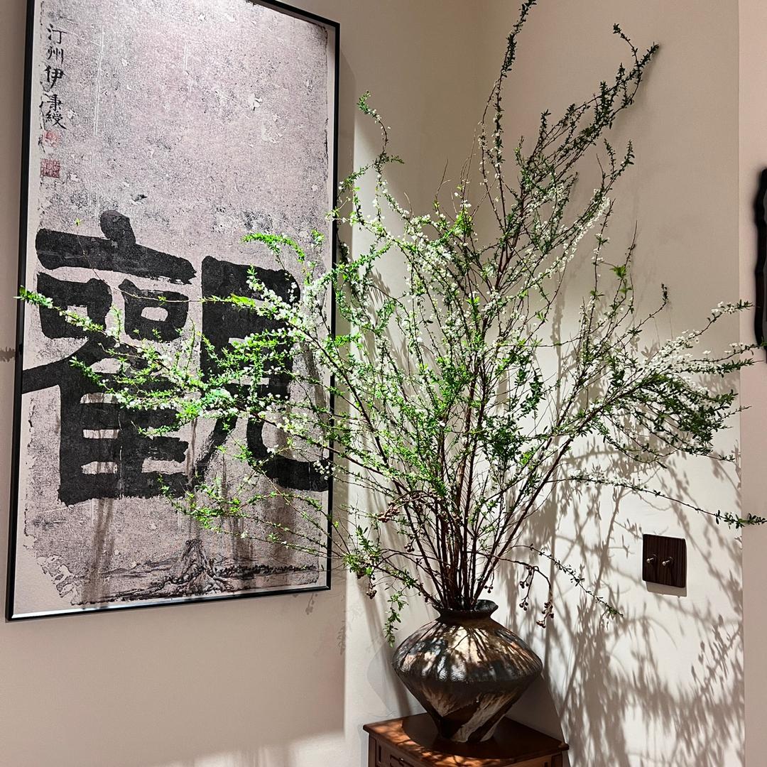 遂宁市河东新区雨林臻品茶坊（个体工商户）