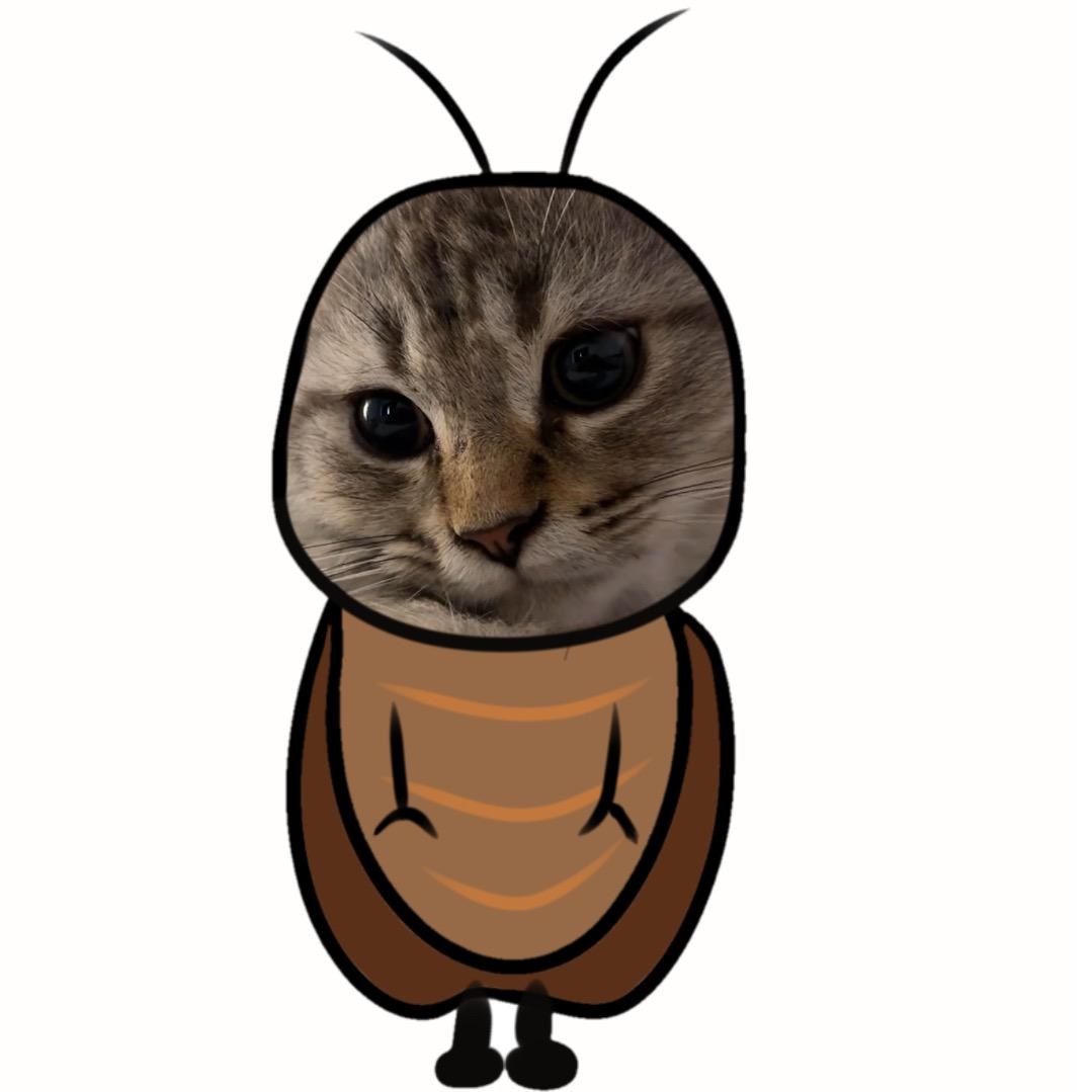 东桤