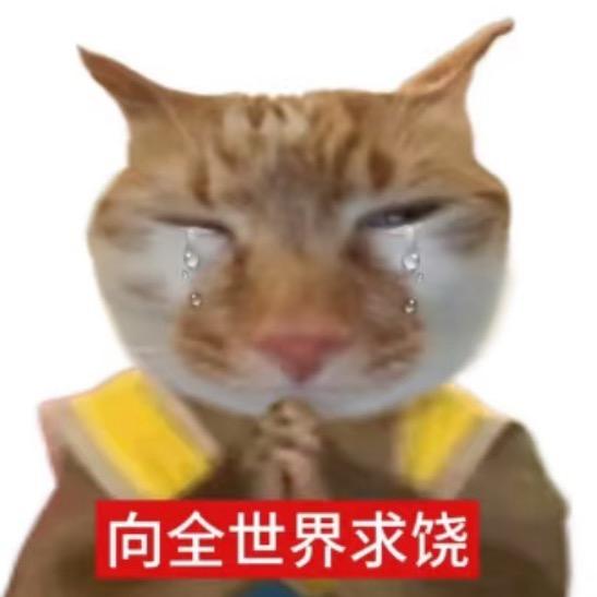 菠萝宝的自律攻略