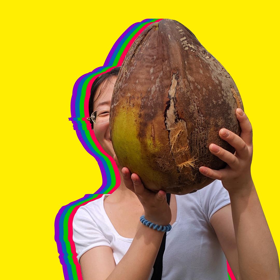 淘淘的朋友圈