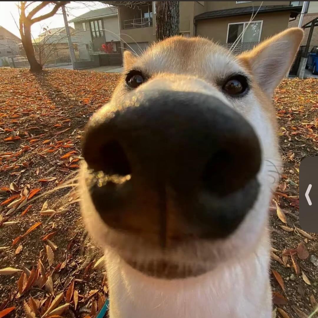 ？。？
