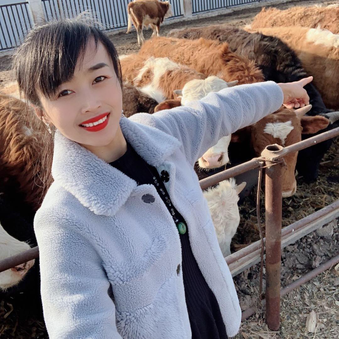 卖小牛  过渡小牛